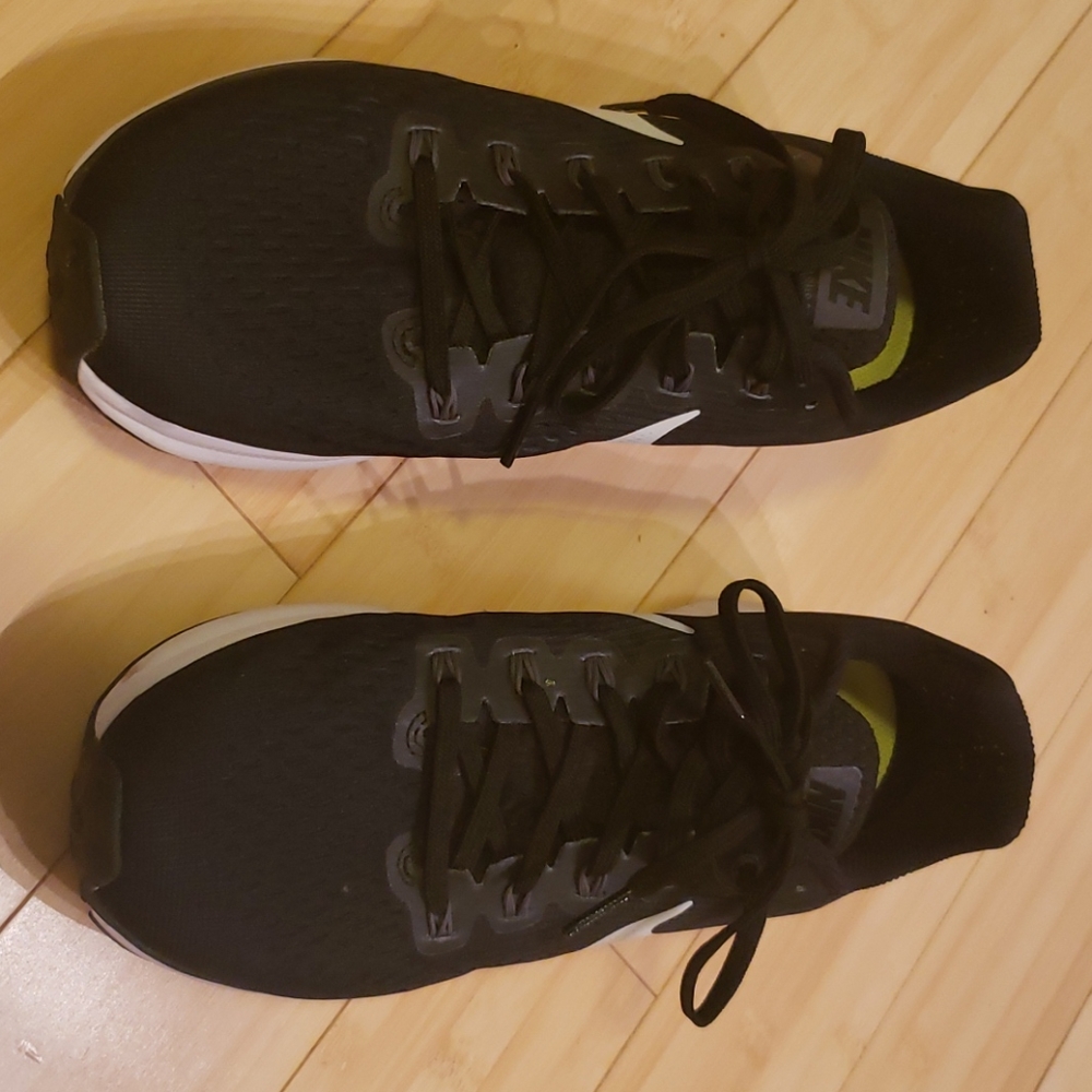 Nike zoom pegasus 34